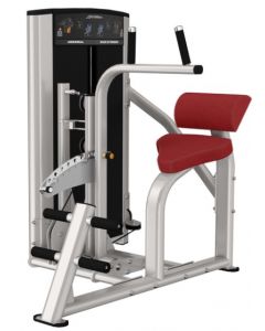 LIFE FITNESS AXIOM SERIES ABDOMINAL / BACK EXTENSION