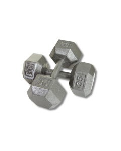 TROY BARBELL CAST IRON DUMBBELL