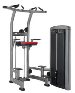 LIFE FITNESS INSIGNIA SERIES ASSIST DIP CHIN