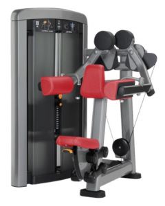 LIFE FITNESS INSIGNIA SERIES LATERAL RAISE