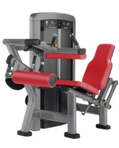 LIFE FITNESS INSIGNIA SERIES SEATED LEG CURL