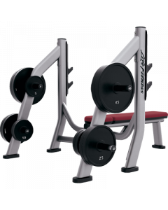 LIFE FITNESS SIGNATURE SERIES OLYMPIC BENCH WEIGHT STORAGE