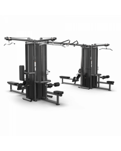 TRUE FITNESS DUAL MODULAR FRAME WITH CABLE CROSSOVER